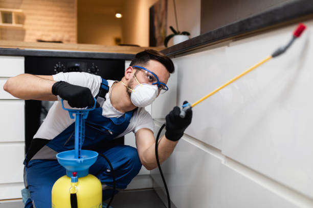 Best Bed Bug Extermination  in Jeffersonville, IN