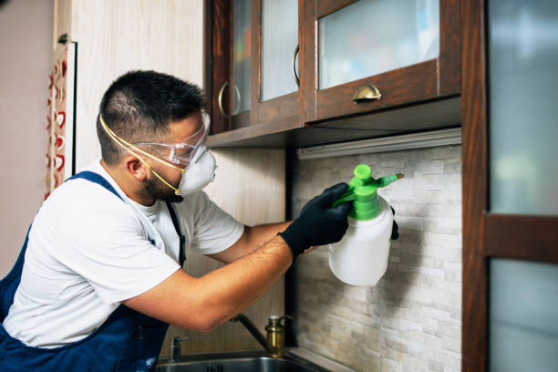 Best Exterminator Services  in Jeffersonville, IN