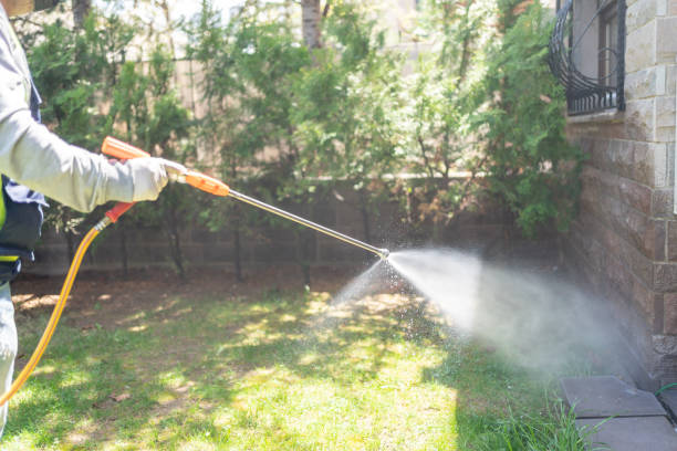 Best Mosquito Control Services  in Jeffersonville, IN