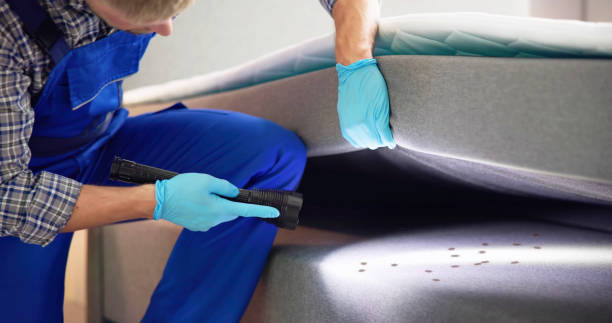 Trusted Jeffersonville, IN Pest Control Experts