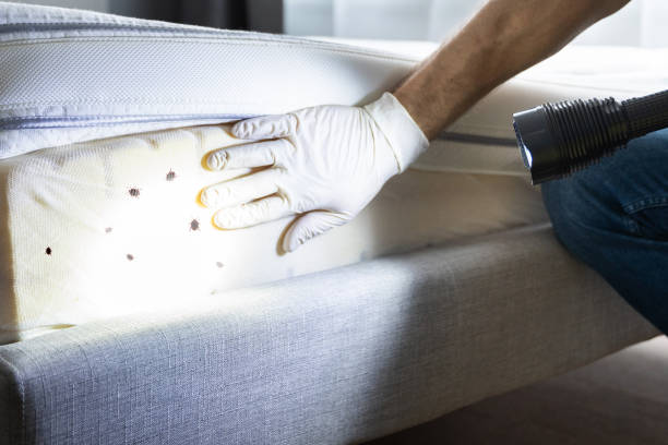 Best Pest Inspection Near Me  in Jeffersonville, IN