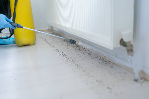 Best Cockroach Control Services  in Jeffersonville, IN