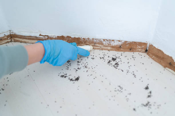 Best Best Pest Control Companies  in Jeffersonville, IN